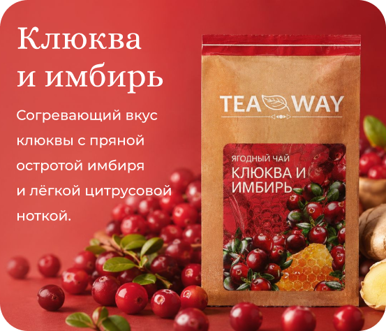 Клюква и имбирь TEAWAY